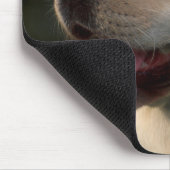 Portrait von Labrador Retriever, Hilton Mousepad (Ecke)