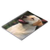 Portrait von Labrador Retriever, Hilton Notizblock (Linke Seite)