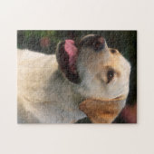 Portrait von Labrador Retriever, Hilton Puzzle (Horizontal)