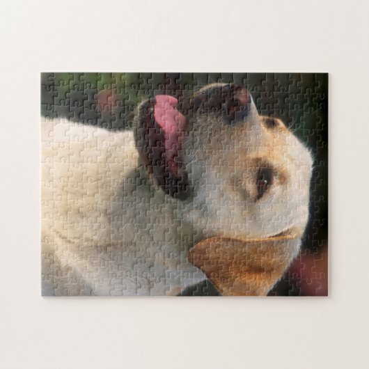 Portrait von Labrador Retriever, Hilton Puzzle (Horizontal)