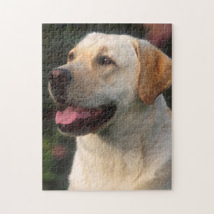 Portrait von Labrador Retriever, Hilton Puzzle
