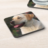Portrait von Labrador Retriever, Hilton Untersetzer (Linke Seite)