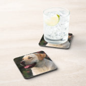 Portrait von Labrador Retriever, Hilton Untersetzer (Rechte Seite)