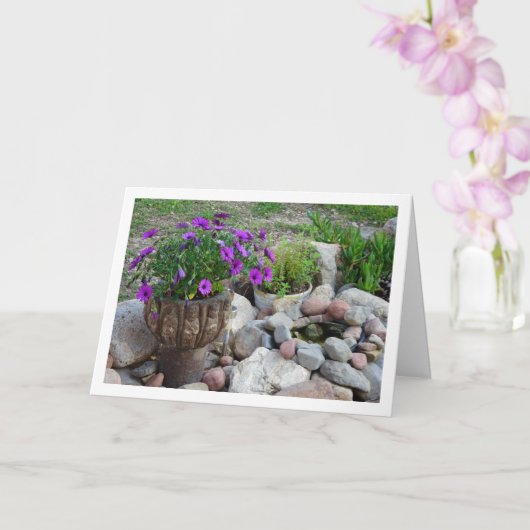 Portrait von lila African Daisies Karte (Orchidee)