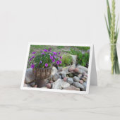 Portrait von lila African Daisies Karte (Vorderseite)