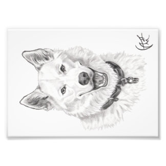 Portrait von Loki Fotodruck