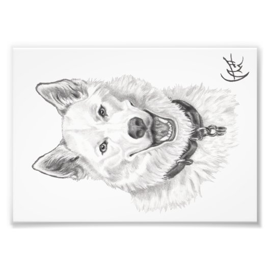 Portrait von Loki Fotodruck (Vorne)