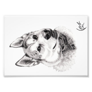 Portrait von Lugh Fotodruck