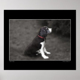 Portrait von Mabel Nr. 3 Poster