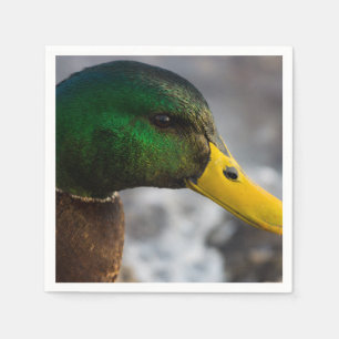 Portrait von Male Mallard Serviette