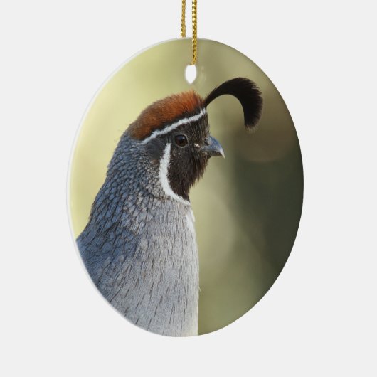 Portrait von männlichen Wachteln Keramik Ornament (Rechts)