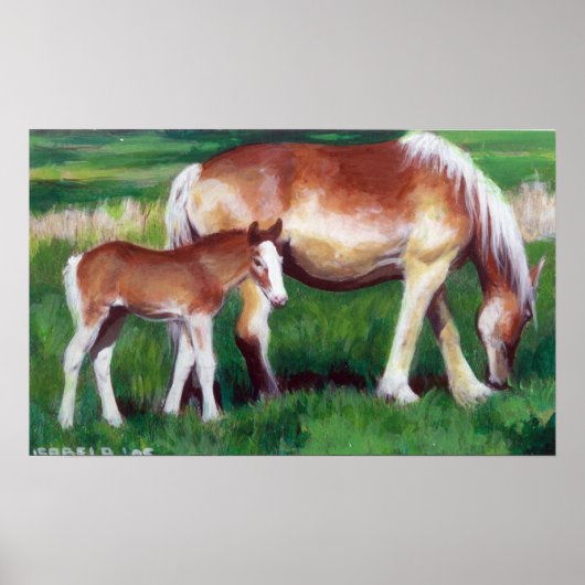 Portrait von Mare and Foal Horse Poster (Vorne)