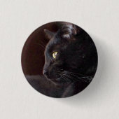 Portrait von My Boy, Charlie Button (Vorderseite)