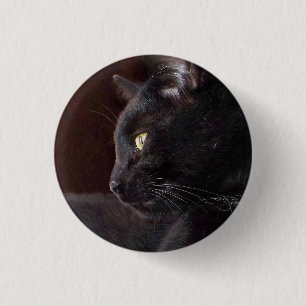 Portrait von My Boy, Charlie Button