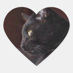 Portrait von My Boy, Charlie Heart Sticker