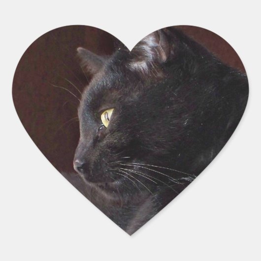 Portrait von My Boy, Charlie Heart Sticker (Vorderseite)