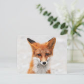 Portrait von niedlichem Wildschwein mit schönen Au Postkarte (Stehend Vorderseite)