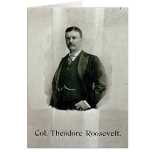 Portrait von Oberst Theodore Roosevelt (Litho)