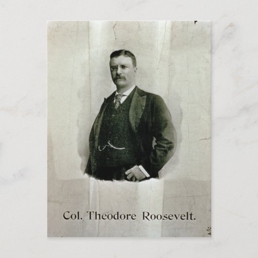 Portrait von Oberst Theodore Roosevelt (Litho) Postkarte (Vorderseite)