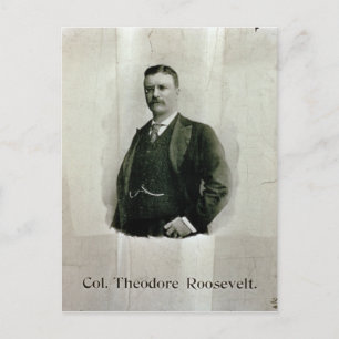 Portrait von Oberst Theodore Roosevelt (Litho) Postkarte