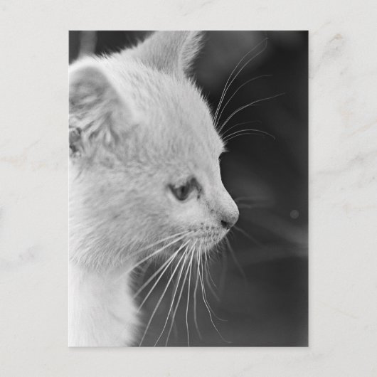 Portrait von Petra Postkarte (Vorderseite)