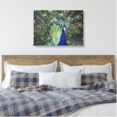 Portrait von Pfau mit Federn draußen Leinwanddruck (Insitu (Schlafzimmer))