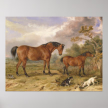 Portrait von Reformer, Blucher, Tory und Krippe