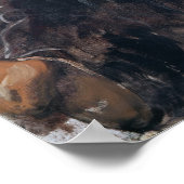 Portrait von Robert Louis Stevenson 1886 Poster (Ecke)