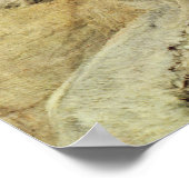 Portrait von Sarah Bernhardt Poster (Ecke)