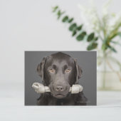 Portrait von Schokoladenlabrador Postkarte (Stehend Vorderseite)
