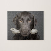 Portrait von Schokoladenlabrador Puzzle (Horizontal)