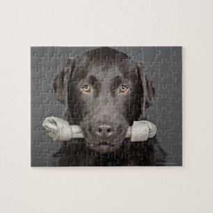 Portrait von Schokoladenlabrador Puzzle