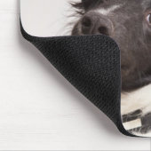 Portrait von Schwarz-Weiß-Schafhund Mousepad (Ecke)