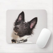 Portrait von Schwarz-Weiß-Schafhund Mousepad (Mit Mouse)