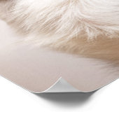 Portrait von Schwarz-Weiß-Schafhund Poster (Ecke)