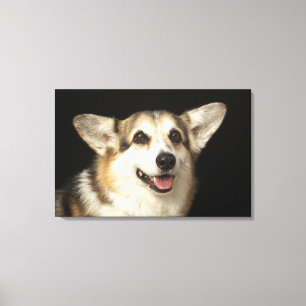 Portrait von schwarzem, braunem und weißem Corgi Leinwanddruck
