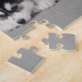 Portrait von sechs sibirischen Huskywelpen Puzzle (Seite)