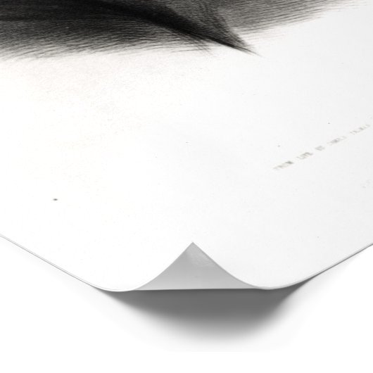 Portrait von Sir Robert Peel Poster (Ecke)