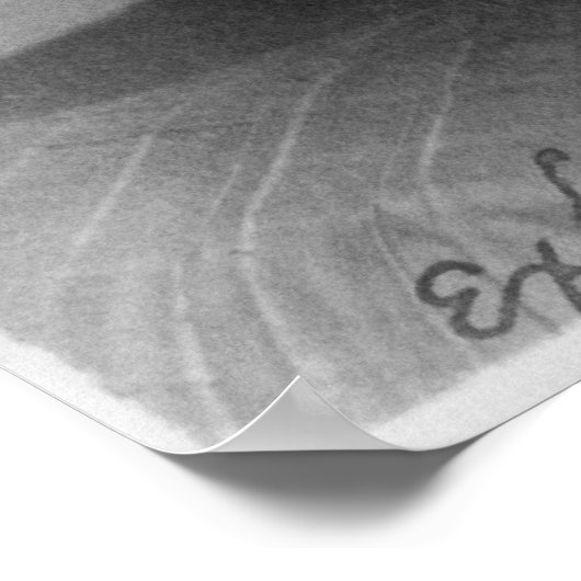 Portrait von Susan B. Anthony Reading a Book Poster (Ecke)