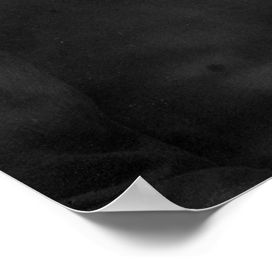 Portrait von Thomas Hardy Poster (Ecke)