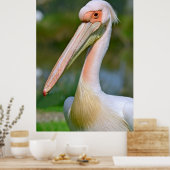 Portrait von weißem Pelikan Poster (Küche)