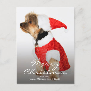 Portrait von Yorkshire Terrier Wearing Weihnachtsm Feiertagspostkarte