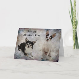 Portrait von zwei Chihuahuahuas Karte