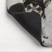 Portrait von zwei Chihuahuahuas Mousepad (Ecke)