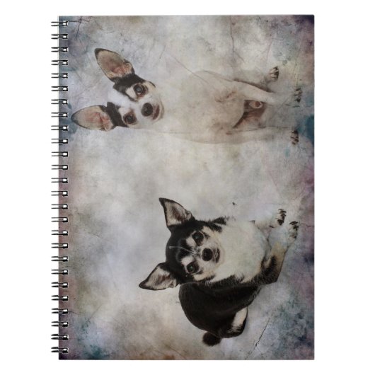 Portrait von zwei Chihuahuahuas Notizblock (Vorderseite)