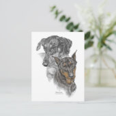 Portrait von zwei Dobermans Postkarte (Stehend Vorderseite)