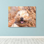 Portrait "Weichkalotte" Leinwanddruck (Insitu (Holzboden))