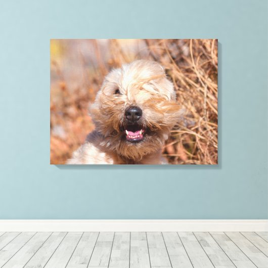 Portrait "Weichkalotte" Leinwanddruck (Insitu (Holzboden))