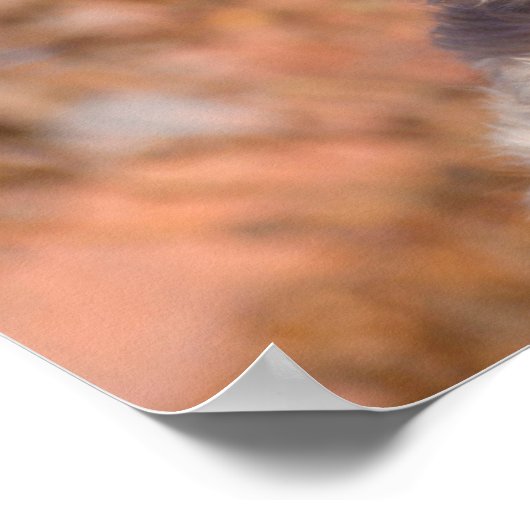 Portrait "Weichkalotte" Poster (Ecke)