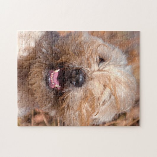 Portrait "Weichkalotte" Puzzle (Horizontal)